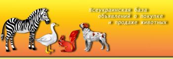 Всеукраинская база обьявлений о покупке и продаже животных